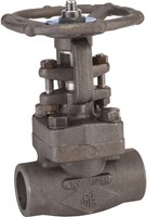 Koolstofstaal A150N schuifafsluiter 111 TRIM 16 800 lbs SW 3/4''