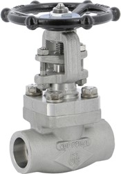 Stainless steel F316 gate valve 152 TRIM 10 800 lbs SW 1/2''