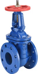 Nodulair gietijzeren schuifafsluiter 158 hoge temperatuur RF PN10 NF DN250