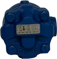 Spirax Sarco 3/4" AE14 SV AAV Für Flüssigkeitssysteme BSP-2
