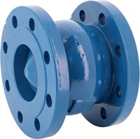 Cast iron spring check valve 366 flanged PN16 ACS DN80