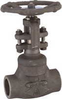 Carbon steel A150N globe valve 417 TRIM 5 800 lbs SW 1''1/2