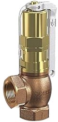 Goetze Armaturen Bronzen overstortventiel, 618-sGFL-20-f/f-2020-*-**