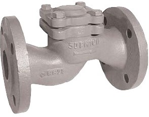 Terugslagklep DN100, PN16, CK500310 Ebora