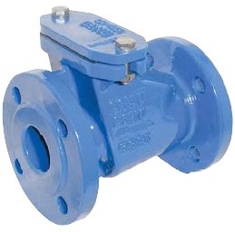 Sewage (waste water) Check Valve DN125, PN10 Cast iron-25 / EHR / EPDM, with ventilation device