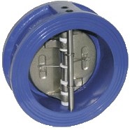 Vlinder-terugslagklep, DN80, PN16, DR534009 Ebora