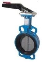 Butterfly valve DN125, PN10 / 16, length EN558-20 Cast iron / EPDM / stainless steel 1.4408, ISO 521