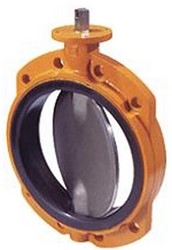 EVBS, DN50, EPDM PN10/16