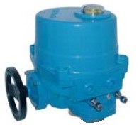 Elektrische Schwenkantrieb, 60Nm, 230V AC, NE06, Laufzeit 17 sek., Vierkant 17mm