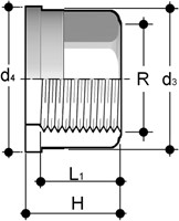 FIP COL.FIL.FEM.3/8G  INOXA316L A10972, QBFX038-2