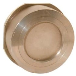 Tussenflens-Terugslagklep DN65, PN6-40, RG330008 Ebora