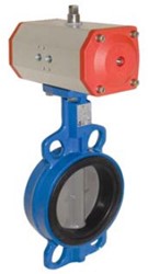Butterfly valve-WA, DN100, with drive-ED, DW70 Cast iron / stainless steel / NBR, double acting