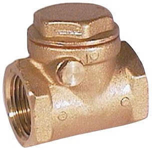 Check Valve 2 PN10 Brass / NBR