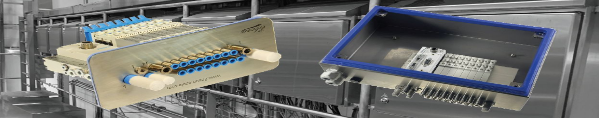 Erik's blog | Pneumatiekkasten op maat voor procesautomatisering | Ebora