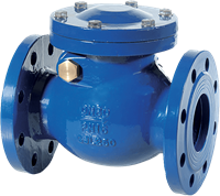 Flanged check valve cast iron body Series S6