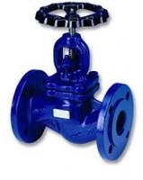 Globe valve
