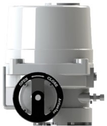 EBNE05..250 Elektrischer Schwenkantrieb-3