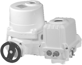 EBNE05..250 Elektrischer Schwenkantrieb