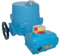 EBNE05..250 Elektrischer Schwenkantrieb