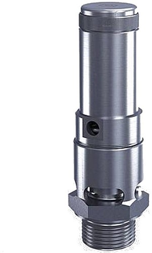 Goetze Armaturen Edelstahl Sicherheitsventil, 410-sGK-20-m-20-*-**