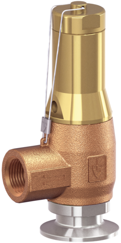 6420 Safety valves made of gunmetal, angle-type with threaded connections Goetze