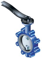 ARI-GESA Absperrklappe mit Gewindeaugen mit Rasthebel