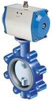 ARI-GESA Butterfly valve with threaded eyelets and notch lever-3