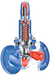 ARI-Preso 53.753 DN25 in doorgangsvorm 1.4408 PN16