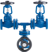 DBB3 SafeBloc Doppel-Absperrventil mit Faltenbalg und Entspannungsanschluss Spirax Sarco