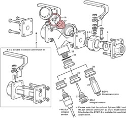 Spirax Sarco STS17.2 Check Valve Spares Kit