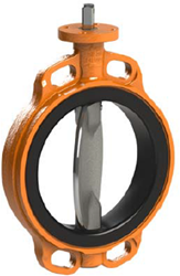 EVCS-I DN50 NBR RVS/GGG40 free shaft